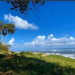 Meet your Posher, Ramirez